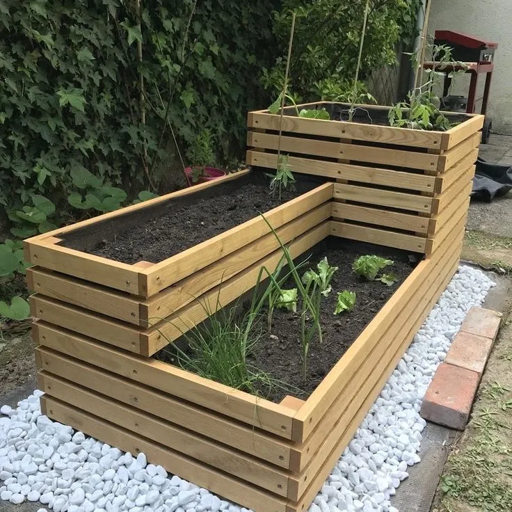 Two-level raised garden bed in slatted pine, planted with vegetables and edged with white pebbles